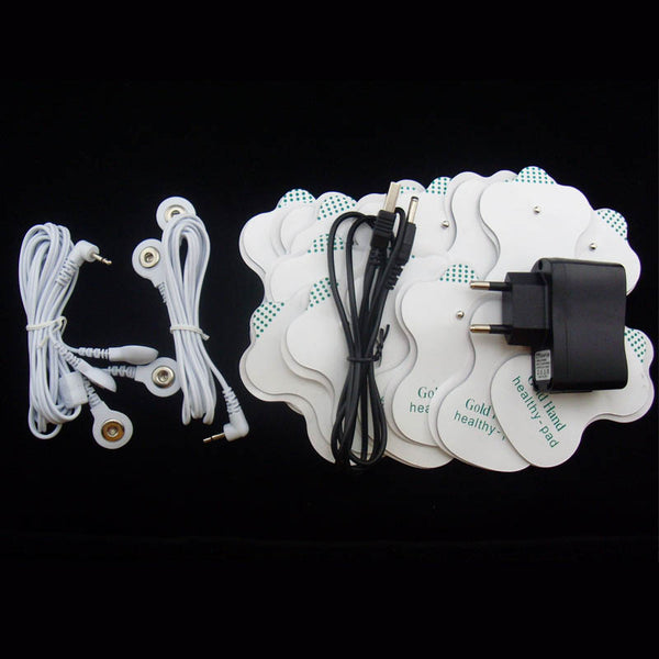 Electronic Acupuncture Body Massager